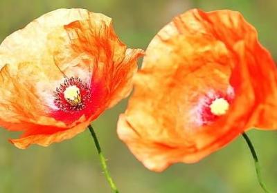 比喻消息灵通的人词语(精选50句)