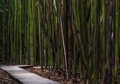 朋友情深的词语(优选81句)