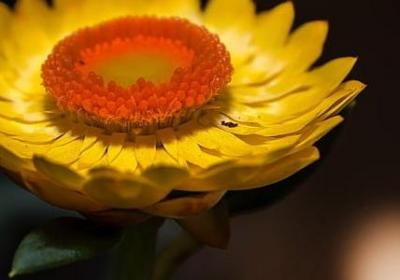 有天和地的四字词语(共38句)