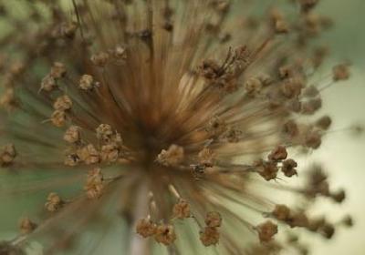 灿烂多彩的词语(精选40句)