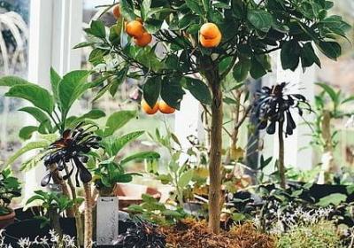 照样子 写词语二年级(热门100句)