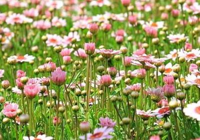 清晰的什么填空词语(精选40句)