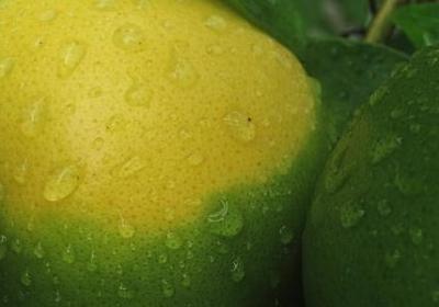 没字怎么组词语(合集80句)