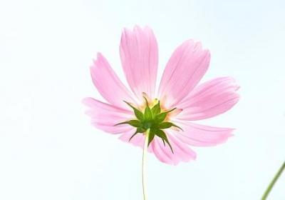 浏组词有哪些词语(通用50句)