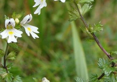 流的多音字组词语(精选60句)