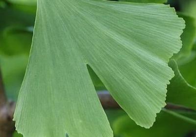 犹组什么词语(实用60句)