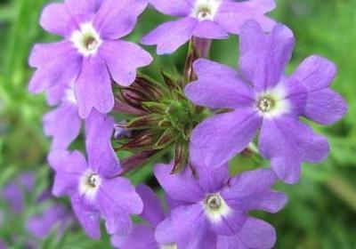 沉寂相近的词语(实用70句)