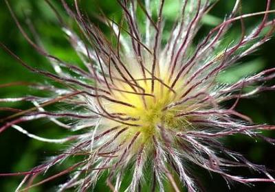 版怎么组词语(通用20句)