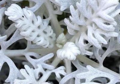 油的三字词语(精选55句)