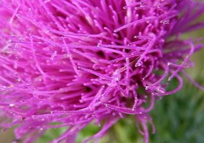 爱心捐款词语(热门60句)