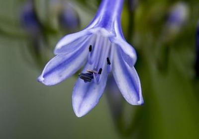 波浪似的头发类似词语(合集10句)