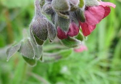 知可以组什么词语(实用43句)