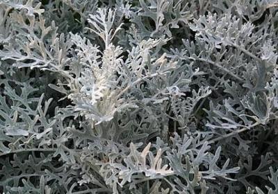 祝福领导的词语(合集31句)