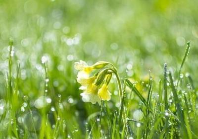 矛可以组什么词语(共11句) 矛可以组什么词语(共11句)