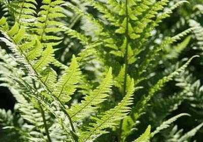 督换偏旁组词语(精选51句)