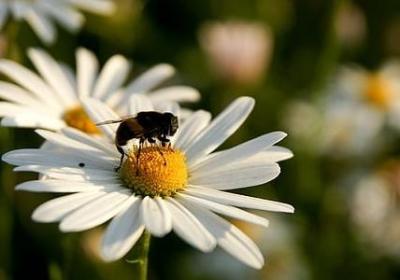 盲组词语有哪些(共61句)