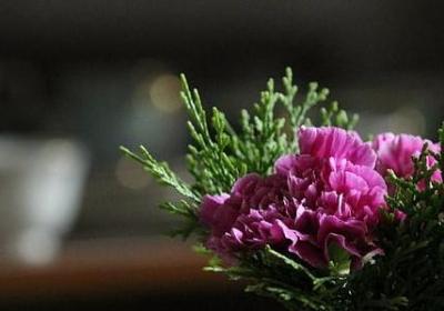 称的四字词语(必备40句)