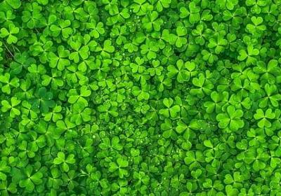 突然相近的词语(合集20句)