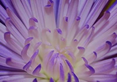 脾组四字词语(共10句) 脾组四字词语(共10句)