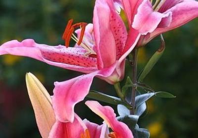 紧紧的什么填词语(精选40句)