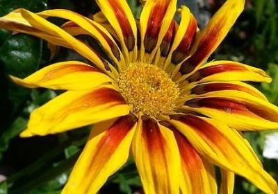 自己控制不住自己的感情的词语(推荐50句)