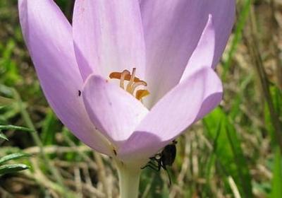 美丽的遐想类似的词语(汇总12句)