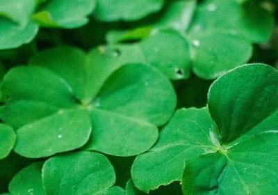 臀组词有哪些词语有(通用11句)