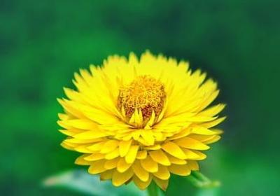 粒粒香类似的词语(热门66句)