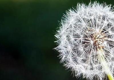 类似缱绻的词语(推荐80句)