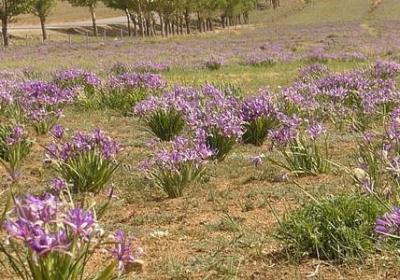 网络流行词语有哪些(实用16句)