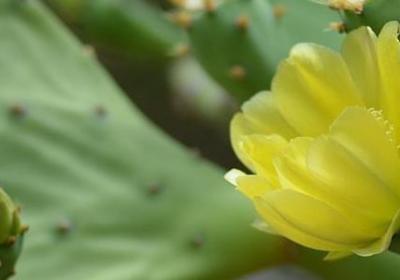 表示哭的的词语(共50句)