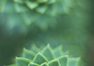 表示不一样的词语(合集50句)