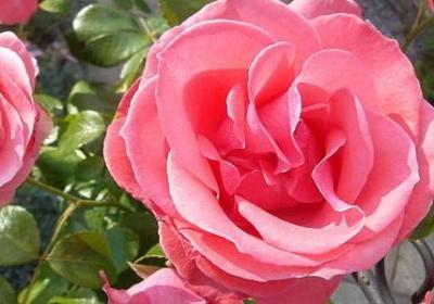 表示相同的词语(实用20句) 表示相同的词语(实用20句)