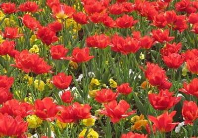 表示善良的四字词语(40句) 表示善良的四字词语(40句)