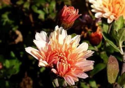 表示时间短的词语(热门10句)