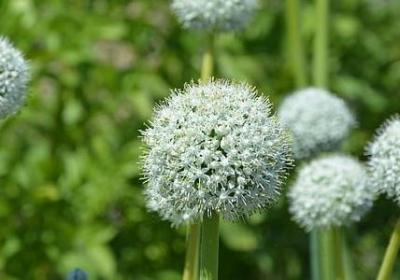 表示空间的词语(通用50句)