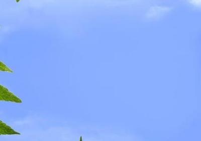 表示有学问的词语(精选26句)