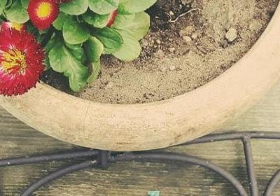 螺可以组什么词语(热门11句)