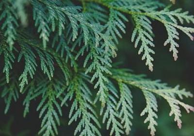 表示声音的词语有什么(热门40句)