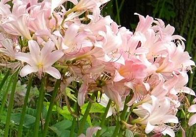 虚能组什么词语(通用19句)