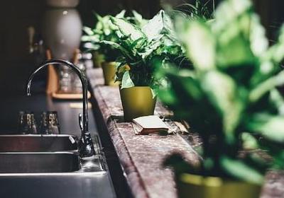 表现勤劳的词语(精选49句)