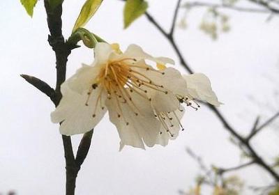 荡能组什么词语(60句)