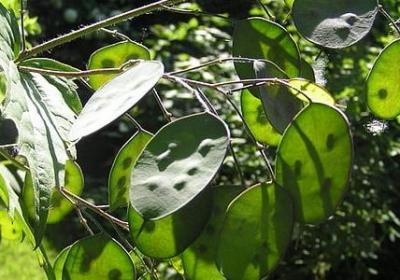 表示虚幻的词语(精选10句)