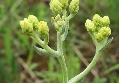 表示有名的四字词语(合集79句)