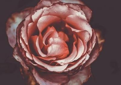 说明文词语的作用(优选41句)