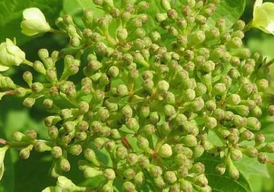 被组词有哪些词语(热门18句) 被组词有哪些词语(热门18句)