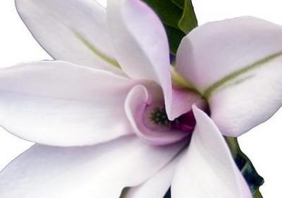 表达服务周到的词语(40句) 表达服务周到的词语(40句)