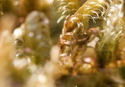 词语接龙高楼到顶峰(实用80句)