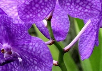 词语释意情窦(实用38句)