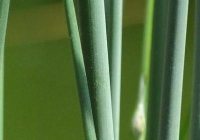 词语天什么地什么(共10句)